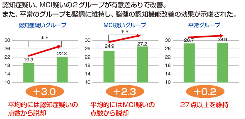 国家課題SIB調査事業